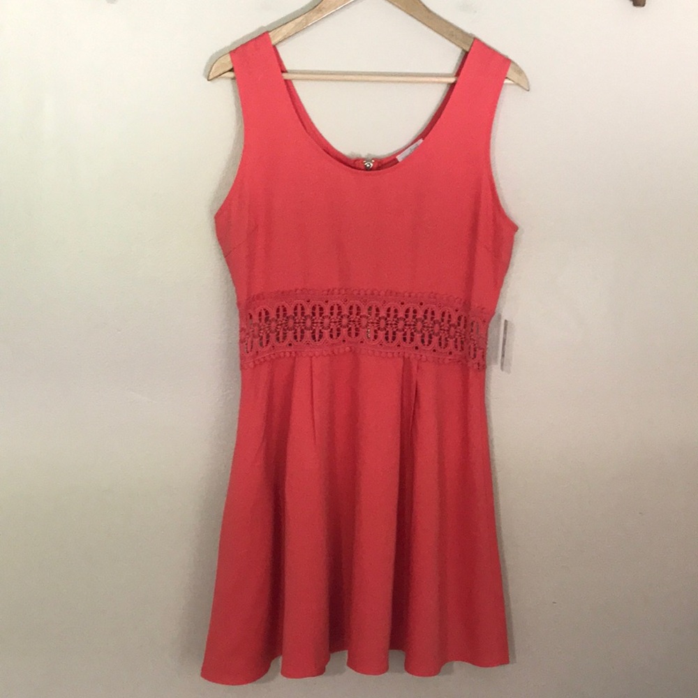 NEW Charming Charlie Fit and‎ Flare Dress. Large